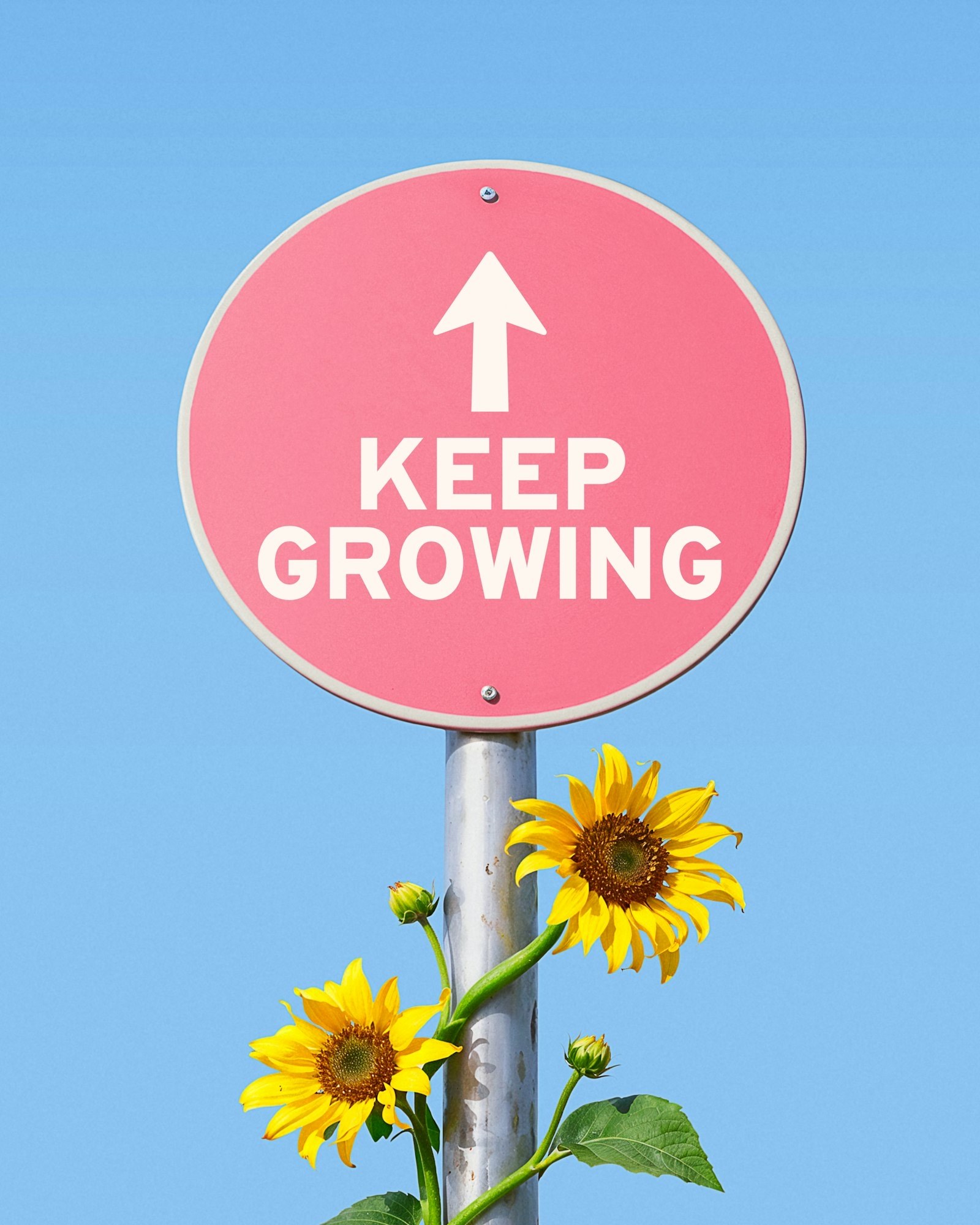 Pink sign with keep growing text and yellow flowers.